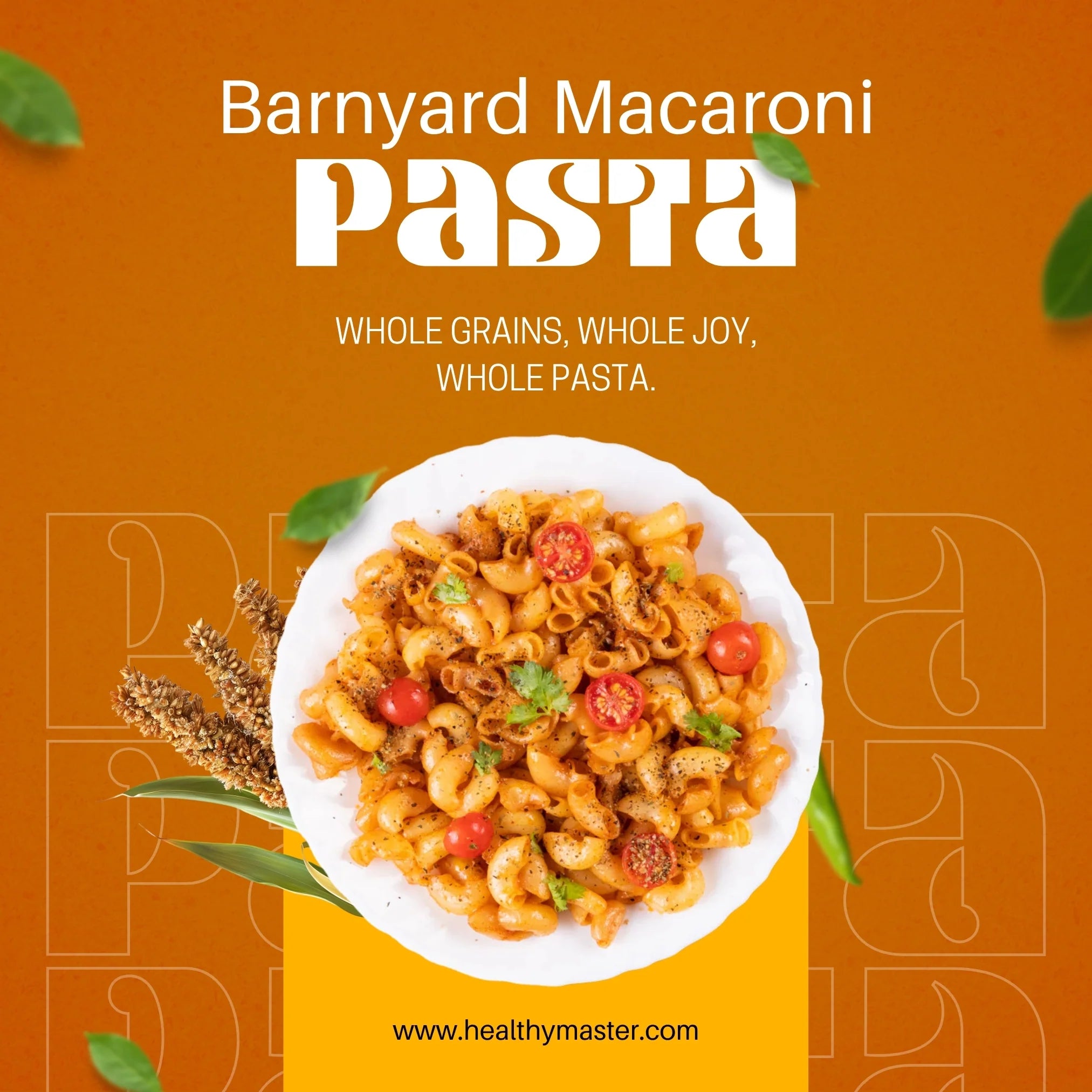Barnyard Macaroni Pasta